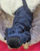 processed/4f071753-0ad4-41db-b7bd-c5be2bcd625f/listing/df7e46a8-48ae-4281-92e9-5b2543746a04/8d094fa4-3917-43ff-be76-7cf96f9e86dd