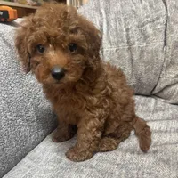 processed/4f0f6d8d-e84e-4f22-b3a5-e36010b97769/facility/0cba11c5-ae34-446c-ba86-5759a05dcd84