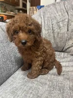 processed/4f0f6d8d-e84e-4f22-b3a5-e36010b97769/facility/0cba11c5-ae34-446c-ba86-5759a05dcd84