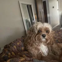 processed/4f0f6d8d-e84e-4f22-b3a5-e36010b97769/facility/2c77f1f8-8662-409c-a1fa-d76880f4ccab