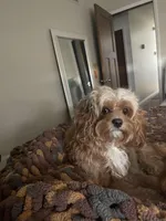 processed/4f0f6d8d-e84e-4f22-b3a5-e36010b97769/facility/2c77f1f8-8662-409c-a1fa-d76880f4ccab