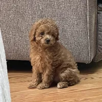 processed/4f0f6d8d-e84e-4f22-b3a5-e36010b97769/facility/315f8c93-cbca-459d-9006-809b8caa2c8f