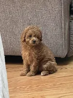 processed/4f0f6d8d-e84e-4f22-b3a5-e36010b97769/facility/315f8c93-cbca-459d-9006-809b8caa2c8f