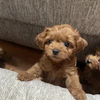 processed/4f0f6d8d-e84e-4f22-b3a5-e36010b97769/facility/5517e295-9410-4b6a-8815-88018fccdfc5