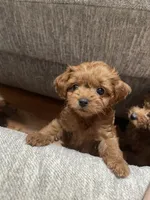 processed/4f0f6d8d-e84e-4f22-b3a5-e36010b97769/facility/5517e295-9410-4b6a-8815-88018fccdfc5