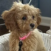 processed/4f0f6d8d-e84e-4f22-b3a5-e36010b97769/facility/8e8ad6ab-ba88-408a-80d0-0c0713a9361b