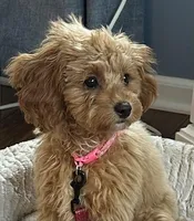 processed/4f0f6d8d-e84e-4f22-b3a5-e36010b97769/facility/8e8ad6ab-ba88-408a-80d0-0c0713a9361b