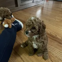 processed/4f0f6d8d-e84e-4f22-b3a5-e36010b97769/facility/98aa7088-04f9-4bc5-9e1c-7a4cf6a618bb