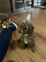 processed/4f0f6d8d-e84e-4f22-b3a5-e36010b97769/facility/98aa7088-04f9-4bc5-9e1c-7a4cf6a618bb