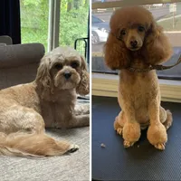 processed/4f0f6d8d-e84e-4f22-b3a5-e36010b97769/facility/b7fd1af1-ac58-41a4-a54f-975bf0c8b4f0