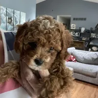 processed/4f0f6d8d-e84e-4f22-b3a5-e36010b97769/facility/bfe6f8f5-0f1a-4f94-971c-8a56c2006615