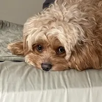 processed/4f0f6d8d-e84e-4f22-b3a5-e36010b97769/facility/dc024387-98ef-468d-a75a-939f28c3fe34