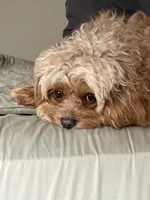 processed/4f0f6d8d-e84e-4f22-b3a5-e36010b97769/facility/dc024387-98ef-468d-a75a-939f28c3fe34