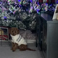 processed/4f0f6d8d-e84e-4f22-b3a5-e36010b97769/facility/fbbb7638-9253-49e5-9936-83ed64d3178b