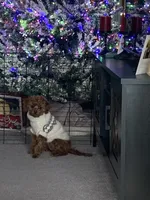 processed/4f0f6d8d-e84e-4f22-b3a5-e36010b97769/facility/fbbb7638-9253-49e5-9936-83ed64d3178b