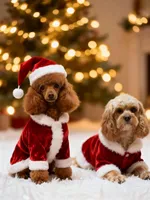 Pinky, a female Cavapoo for sale in Lake Orion, MI – Photo 7 of 10