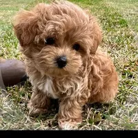 processed/4f116926-c1f0-4c71-bf95-66a91e91ad68/facility/1073dd1f-79cb-4462-878c-e5de77fe4387