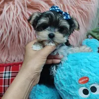 processed/4f116926-c1f0-4c71-bf95-66a91e91ad68/facility/15ad738b-d450-4c0f-9f83-fddb16e6c134