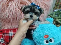 processed/4f116926-c1f0-4c71-bf95-66a91e91ad68/facility/15ad738b-d450-4c0f-9f83-fddb16e6c134