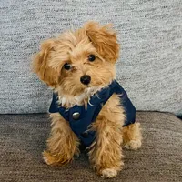 processed/4f116926-c1f0-4c71-bf95-66a91e91ad68/facility/1eabd01b-f790-4530-a2b9-a8467202b746