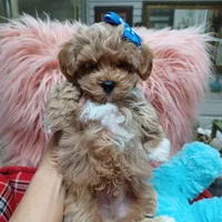 processed/4f116926-c1f0-4c71-bf95-66a91e91ad68/facility/72e4224c-eb94-4376-be67-a36e5ce16e28