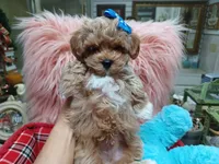 processed/4f116926-c1f0-4c71-bf95-66a91e91ad68/facility/72e4224c-eb94-4376-be67-a36e5ce16e28