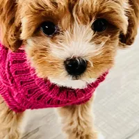 processed/4f116926-c1f0-4c71-bf95-66a91e91ad68/facility/7da40df0-2760-4bd0-94bb-2c93d6f7b6bf