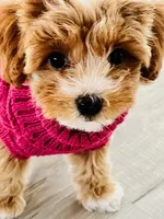 processed/4f116926-c1f0-4c71-bf95-66a91e91ad68/facility/7da40df0-2760-4bd0-94bb-2c93d6f7b6bf