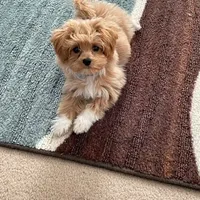 processed/4f116926-c1f0-4c71-bf95-66a91e91ad68/facility/892d62e8-5a7e-4b9a-b6a0-c4c5a6297497