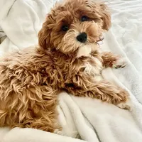 processed/4f116926-c1f0-4c71-bf95-66a91e91ad68/facility/b498d962-9ec5-4f0e-9ecc-70179a0df0b6