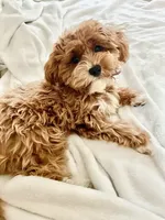 processed/4f116926-c1f0-4c71-bf95-66a91e91ad68/facility/b498d962-9ec5-4f0e-9ecc-70179a0df0b6