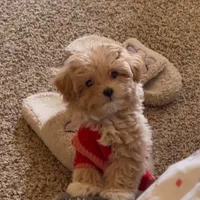 processed/4f116926-c1f0-4c71-bf95-66a91e91ad68/facility/d1cb3fba-4485-4879-9778-f10cd50e9a3c