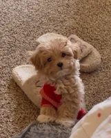 processed/4f116926-c1f0-4c71-bf95-66a91e91ad68/facility/d1cb3fba-4485-4879-9778-f10cd50e9a3c