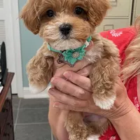 processed/4f116926-c1f0-4c71-bf95-66a91e91ad68/facility/fa570b18-c15a-4e00-9864-e74343b11404