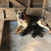 processed/4f21658f-62d6-4d71-b5c8-3f8d3048c86a/facility/40c1dfef-f528-474a-b37a-3149162de94c