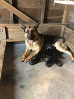 processed/4f21658f-62d6-4d71-b5c8-3f8d3048c86a/facility/40c1dfef-f528-474a-b37a-3149162de94c