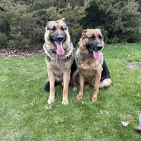 processed/4f21658f-62d6-4d71-b5c8-3f8d3048c86a/facility/8d9b12ca-94cb-4501-bb97-74752eae80b1