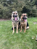 processed/4f21658f-62d6-4d71-b5c8-3f8d3048c86a/facility/8d9b12ca-94cb-4501-bb97-74752eae80b1