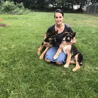 processed/4f21658f-62d6-4d71-b5c8-3f8d3048c86a/facility/d26a53c6-cfcb-4a9a-b66e-f64d6d16604e