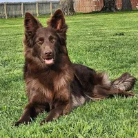 processed/4f22aa8b-00fc-40ba-b8a5-38cc6ddbb986/facility/104d1129-b956-4565-ac9a-d3556ac023e0