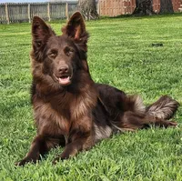 processed/4f22aa8b-00fc-40ba-b8a5-38cc6ddbb986/facility/104d1129-b956-4565-ac9a-d3556ac023e0