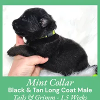 processed/4f22aa8b-00fc-40ba-b8a5-38cc6ddbb986/listing/865a7944-85b2-4078-9a0f-8cd6d51d855b/30cf1c81-a286-4df9-a6da-71b96564cbce