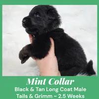 processed/4f22aa8b-00fc-40ba-b8a5-38cc6ddbb986/listing/865a7944-85b2-4078-9a0f-8cd6d51d855b/98551818-1a1a-465e-9f96-deffceb89f85