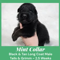 processed/4f22aa8b-00fc-40ba-b8a5-38cc6ddbb986/listing/865a7944-85b2-4078-9a0f-8cd6d51d855b/9e99ae6d-dd9e-4e19-8a70-6405dbce1ae3