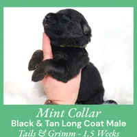 processed/4f22aa8b-00fc-40ba-b8a5-38cc6ddbb986/listing/865a7944-85b2-4078-9a0f-8cd6d51d855b/eed3a9ad-abd1-4004-8ce7-1b9ec5034eda