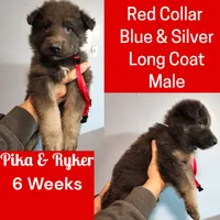 processed/4f22aa8b-00fc-40ba-b8a5-38cc6ddbb986/listing/a3baf932-9366-414d-841d-dd1715d33e0a/068d052d-dc63-484e-9f69-ca0a232f7856