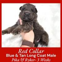 processed/4f22aa8b-00fc-40ba-b8a5-38cc6ddbb986/listing/a3baf932-9366-414d-841d-dd1715d33e0a/0941cc47-4426-4b90-9a80-4284bd21cceb