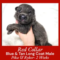 processed/4f22aa8b-00fc-40ba-b8a5-38cc6ddbb986/listing/a3baf932-9366-414d-841d-dd1715d33e0a/24e70df3-c832-431e-a30f-639c8f7ed222