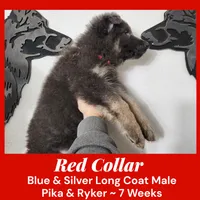 processed/4f22aa8b-00fc-40ba-b8a5-38cc6ddbb986/listing/a3baf932-9366-414d-841d-dd1715d33e0a/57fc833a-da0f-4c97-9ad6-9e7cadfb899d