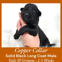 processed/4f22aa8b-00fc-40ba-b8a5-38cc6ddbb986/listing/b742d028-9314-4d14-9434-d4937027fc4f/7f22f8a4-cd3f-4846-8389-08b2a1cd1cd2